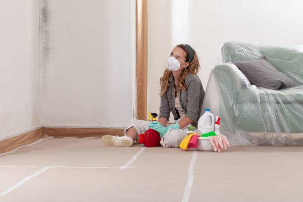 Reliable Attic Mold Removal contractor in Honor, MI by WQB Mold Removal